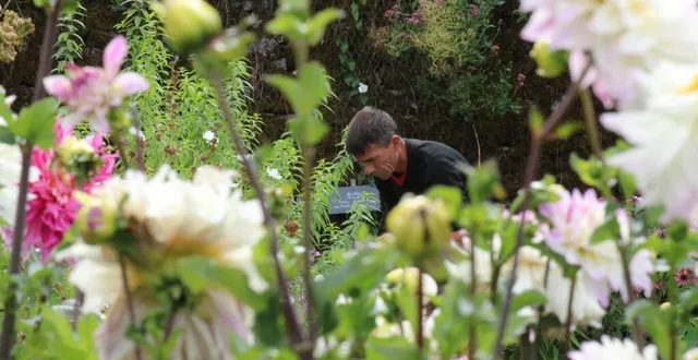 photo  envoyez-nous la plus belle photo de votre jardin !  &copy;  ouest-france 