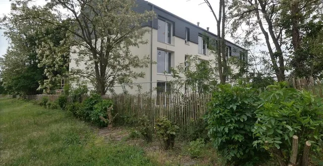 photo  la haie de noisetiers, qui faisait office de brise-vue végétal, a été rasée mettant ainsi en vis-à-vis les habitations des deux lotissements.  &copy;  ouest-france 