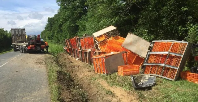 photo  sèvremoine, lundi 12 mai 2025. le camion, qui s’était couché dans le fossé, avait perdu ses caisses en plastique dans le choc, permettant à des milliers de lapins de prendre la poudre d’escampette.  &copy;  co 