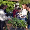photo  le troc plantes a fait beaucoup d’heureux. 