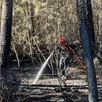 photo  l’incendie de forêt démarré le 15 mai 2025 a repris ce mardi 20 mai au niveau des suhardières à marigné-laillé. 