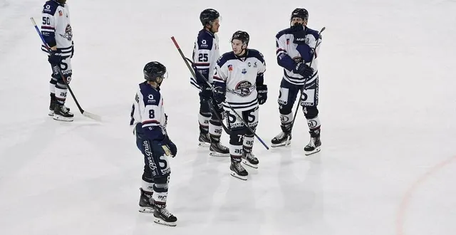 photo  les ducs d’angers continuent de bâtir leur effectif pour la saison prochaine.  &copy;  sebastien aubinaud, ouest france 
