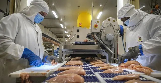 photo  les ouvriers en action sur une chaine de production de l’usine ldc  &copy;  archives le maine libre 
