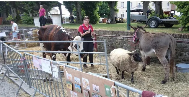 photo  les animaux de la ferme étaient présents à la foire de printemps.  &copy;  ouest-france 