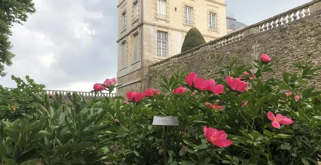photo  près de 3 000 plants de pivoines sont visibles.  &copy;  le maine libre 
