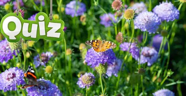 photo quiz biodiversité : testez vos connaissances sur la faune et la flore de france