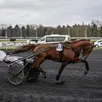 photo  hooker berry est l’invité de dernière minute de l’elitloppet, la deuxième plus importante course de trot attelé qui se courra dimanche 25 mai 2025 sur l’hippodrome suédois de solvalla. 