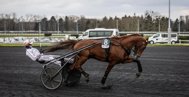 photo  hooker berry est l’invité de dernière minute de l’elitloppet, la deuxième plus importante course de trot attelé qui se courra dimanche 25 mai 2025 sur l’hippodrome suédois de solvalla.  &copy;  bruno vandevelde - le trot 