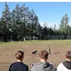 photo  les collégiens de jacques prévert assistent dans la matinée à un entraînement quotidien d’un gendarme de l’équipe cynophile. 
