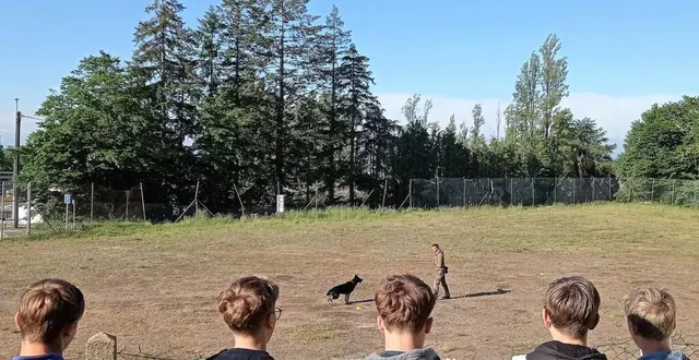 photo  les collégiens de jacques prévert assistent dans la matinée à un entraînement quotidien d’un gendarme de l’équipe cynophile.  &copy;  ouest-france 