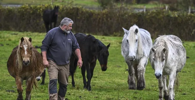 photo  à oizé, une ferme pédagogique abrite 150 animaux. une brocante est prévue ce samedi pour aider au financement de ce refuge.  &copy;  archives le maine libre - denis lambert 