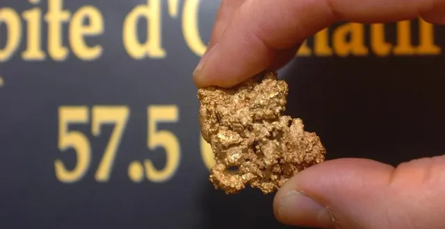 photo  la plus grosse petite d’or découverte en france depuis 100 ans est angevine, d’un diamètre de 3 centimètres pour une épaisseur de 1,8 centimères, la pépite pèse 5,7 grammes.  &copy;  archives co - laurent combet 