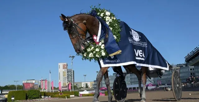 photo  inmarosa, entraînée en sarthe par laurent-claude abrivard, s’offre à solvalla le premier groupe i de sa carrière.  &copy;  tr media 