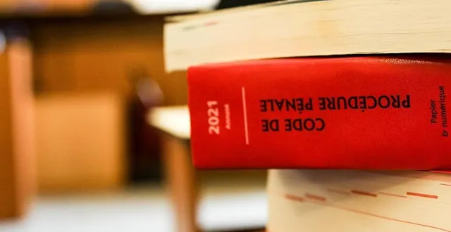 photo  une habitante de la ferté-macé a été condamnée par le tribunal d’argentan, lundi 26 mai 2025.  &copy;  guillaume saligot / ouest-france 