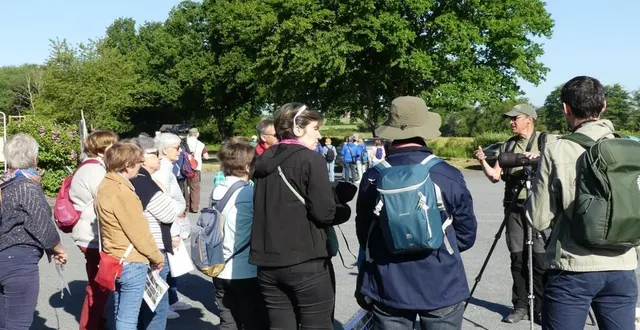 photo  une belle mobilisation pour partir à la découverte des oiseaux de nos campagnes.  &copy;  le maine libre 
