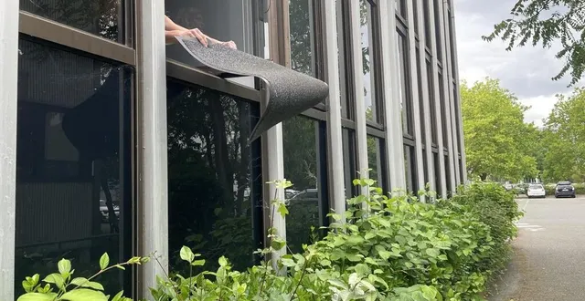 photo  avez-vous le droit de secouer votre tapis par la fenêtre ? le courrier de l’ouest vous répond (photo d’illustration).  &copy;  co 