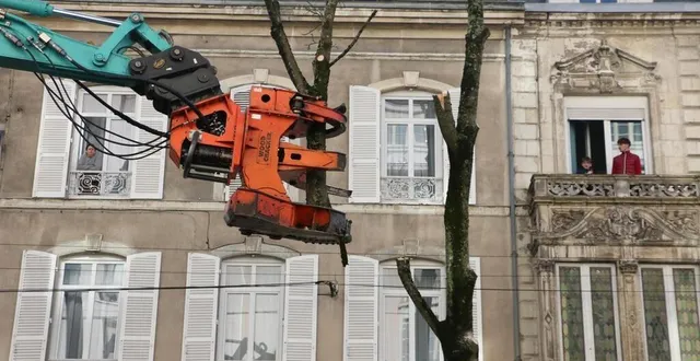photo  les arbres de l’avenue bollée ont été abattus en novembre 2024. de nouveaux arbres seront replantés une fois la chronoligne terminée.  &copy;  archives ouest-france 