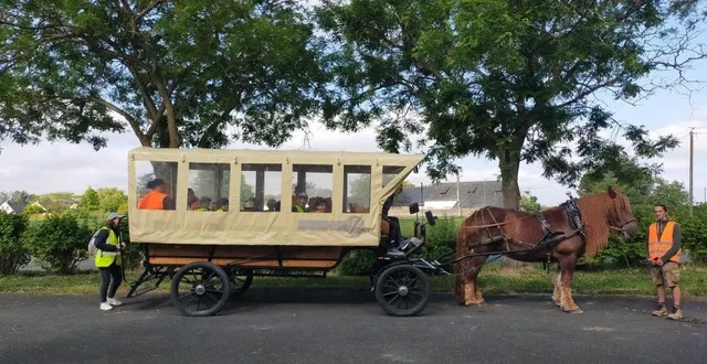 photo  pendant une semaine, les différents niveaux de l’école des bateliers ont alternativement sillonné leur commune avec le cheval eole et la bulle ambu’lente.  &copy;  ouest-france 