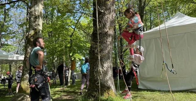 photo  l’initiation à la grimpe d’arbres sera à nouveau au programme, jeudi, à la roche d’oëtre.  &copy;  archives ouest-france 