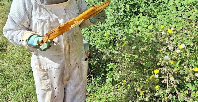 photo  les abeilles de loire participent à cette opération.  &copy;  document remis 