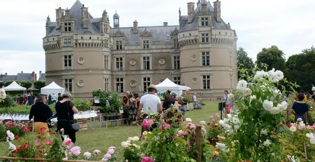 photo  cinq à six mille visiteurs sont attendus pour la 31e fête des jardiniers du château du lude (sarthe), ces samedi 31 mai et dimanche 1er juin 2025.  &copy;  ouest-france 