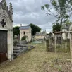 photo  au cimetière de l’ouest, le plus grand cimetière du mans, un carré naturel va voir le jour pour inhumer les défunts de manière écologique. 