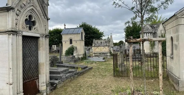 photo  au cimetière de l’ouest, le plus grand cimetière du mans, un carré naturel va voir le jour pour inhumer les défunts de manière écologique.  &copy;  ouest-france 
