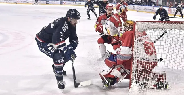 photo  matt prapavessis s’engage pour une quatrième saison avec les ducs d’angers.  &copy;  sébastien aubinaud 