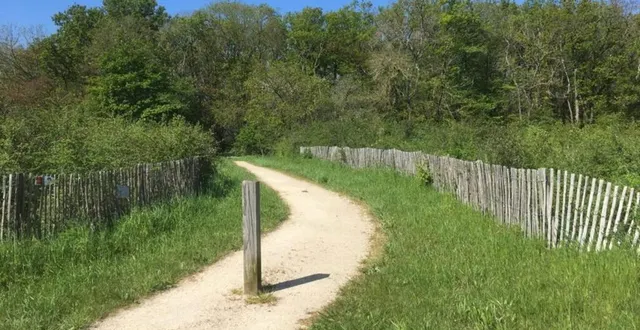photo  en 2018 et en 2019, 35 000 arbres avaient été plantés au cœur du quartier.  &copy;  ouest-france 