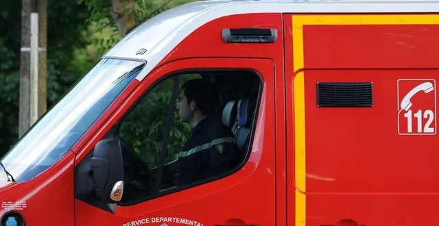 photo  les sapeurs-pompiers ont été appelés ce samedi 31 mai pour secourir une vache tombée dans le loir.  &copy;  photo d’illustration le courrier de l’ouest 