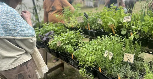 photo  discret, le maraîcher bio françois martin, présent à la fête des jardiniers du lude, donne ses astuces.  &copy;  ouest-france 