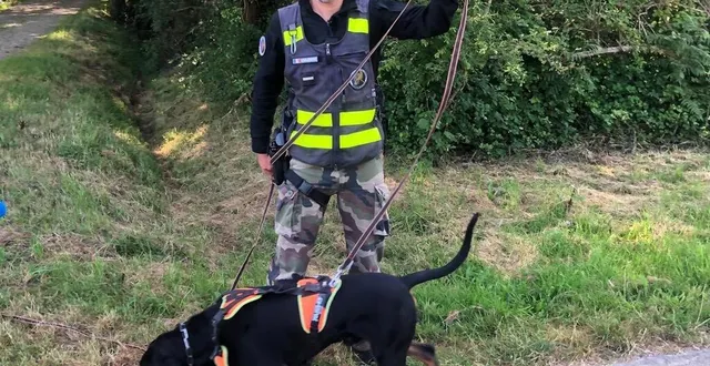 photo  « udine », 2 ans, a rejoint l’équipe cynophile de la gendarmerie de saint-philbert-de-grand-lieu. ce chien, aux capacités olfactives impressionnantes, est capable de pister les personnes recherchées.  &copy;  ouest-france 