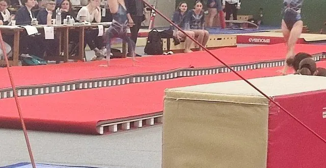 photo  près de 300 gymnastes ont occupé la salle de sport du complexe roger-loison les 24 et 25 mai.  &copy;  ouest-france 