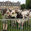photo  une centaine d’animaux ont participé au comice agricole de rânes, samedi 31 mai 2025. 