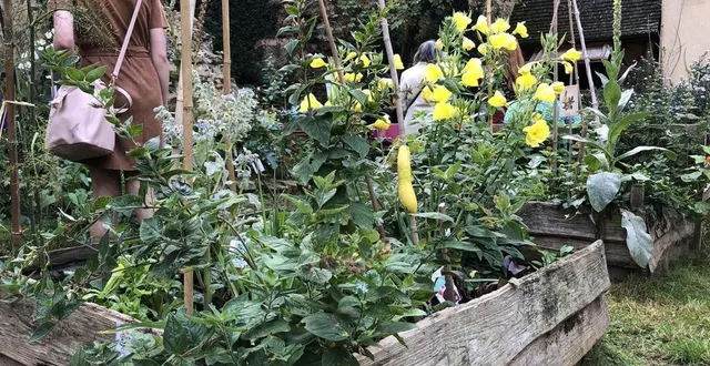 photo  le potagenêt, jardin potager au cœur du vieux mans.  &copy;  archives ouest-france 
