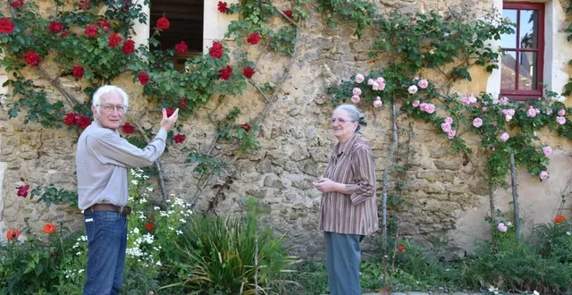 photo  jean-claude et geneviève inviteront à faire découvrir l’histoire du manoir, mais surtout le jardin et ses magnifiques rosiers pour la plupart anciens  &copy;  le maine libre 