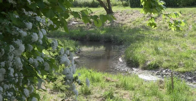 photo  plusieurs cours d’eau ont des débits réduits.  &copy;  photo illustration co - marie delage 