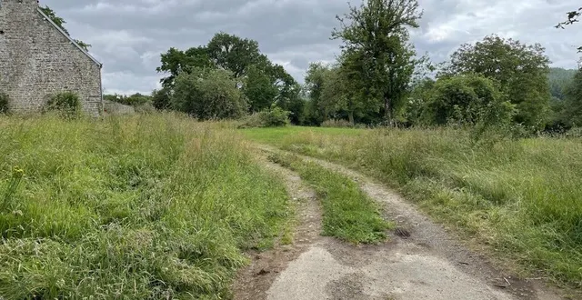 photo  un accident mortel a eu lieu, samedi 31 mai 2025, au lieu-dit le bas brechedaux tinchebray-bocage.  &copy;  ouest-france 
