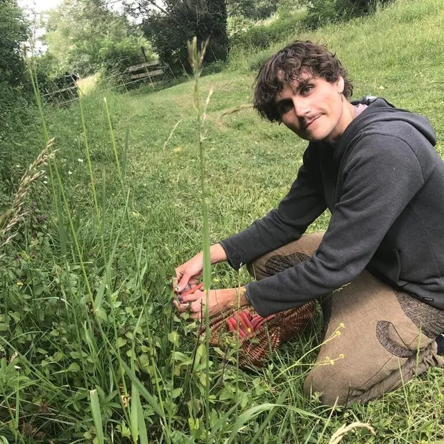 photo gée (beaufort-en-anjou), le 28 mai 2025. « la cueillette ne s’improvise pas, elle nécessite de solides connaissances botaniques », prévient le frédéric michenet qui organise régulièrement des stages de découverte.  ©  co – christophe ricci