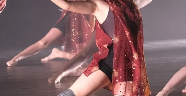 photo  un tableau du gala de danse de l’eea django reinhardt.  &copy;  eea django reinhardt. 