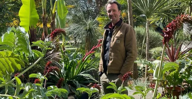 photo  à sainte-gemmes-sur-loire, henri lefaivre a créé à la chêneraie, un jardin adapté au changement climatique.  &copy;  ouest-france 