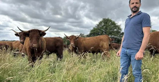photo  sébastien champion s’est installé en 2019. depuis 2021, il propose la viande de salers en vente directe à la ferme de la pillerie.  &copy;  photo le maine libre 