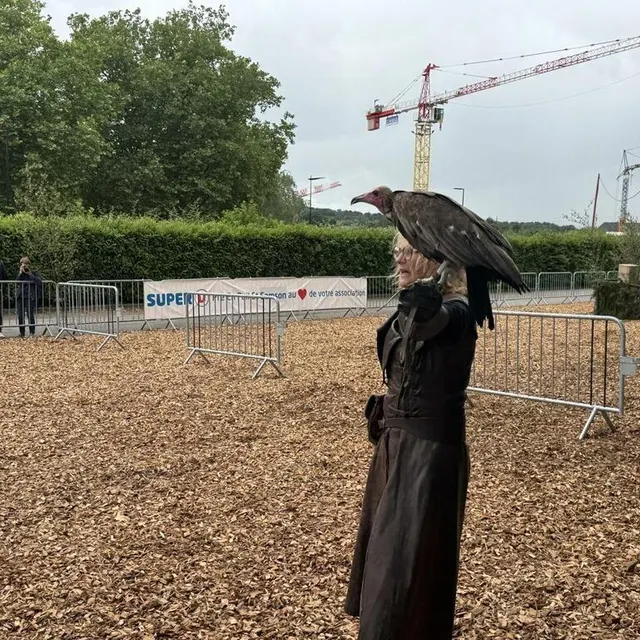 photo le vautour de l’afrique subsaharienne est un oiseau menacé par le braconnage.  ©  ouest-france