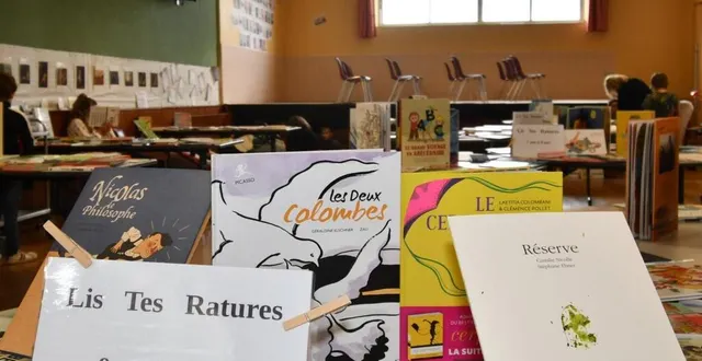 photo  mille livres étaient à l’achat et à découvrir.  &copy;  le maine libre 