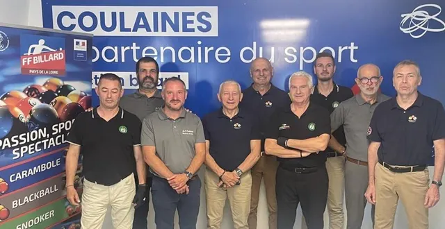 photo  le week-end dernier, neuf joueurs des équipes de division 3, d’albertin, d’annecy et des js coulaines se sont confrontés lors des éliminatoires nationales à l’académie de billard.  &copy;  ouest-france 