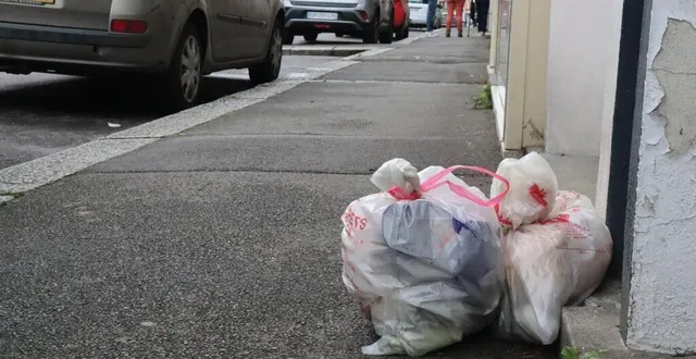 photo  les sacs transparents ont remplacé les sacs noirs dans la région flers-condé.  &copy;  ouest-france 
