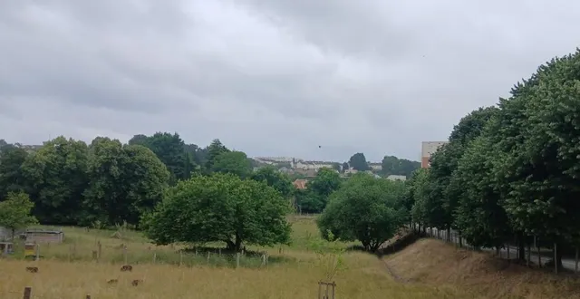photo  une zone naturelle protégée bloque le projet d’école.  &copy;  le maine libre 