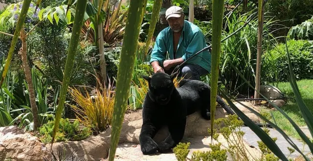 photo  roger est un jardinier extraordinaire.  &copy;  ouest-france 