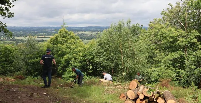photo  vendredi 6 juin 2025, des salariés de l’entreprise thermocoax, des membres de l’association faune et flore de l’orne, flers agglo et l’office national des forêts ont participé à une opération de restauration d’une lande sèche du mont de cerisy.  &copy;  ouest-france 