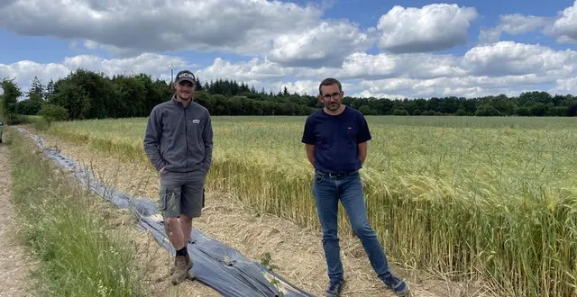 photo  agriculteur à montgaroult, clément larcher a planté une haie avec l’aide de luc bertrand, technicien en boisement chez bois négoce énergie.  &copy;  ouest-france 